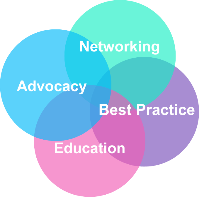 The Network founding principles